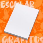 Plancha F4 Sin Rotulo Grafitos