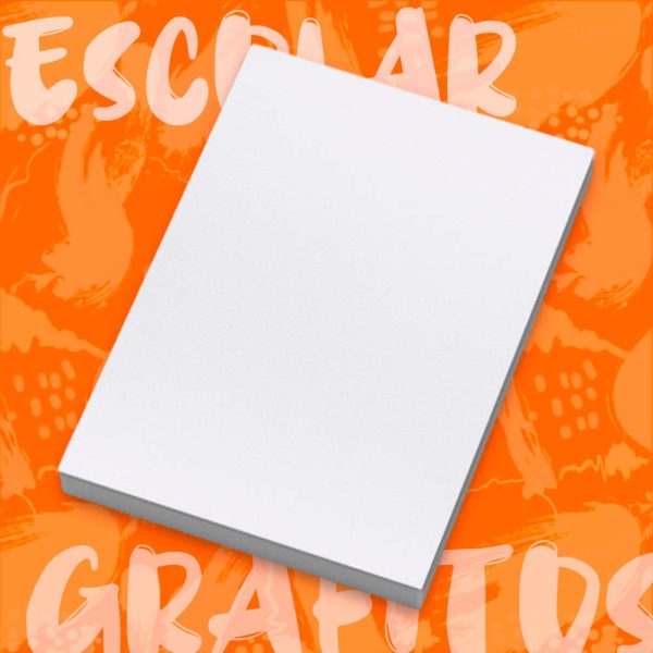 Plancha F4 Sin Rotulo Grafitos