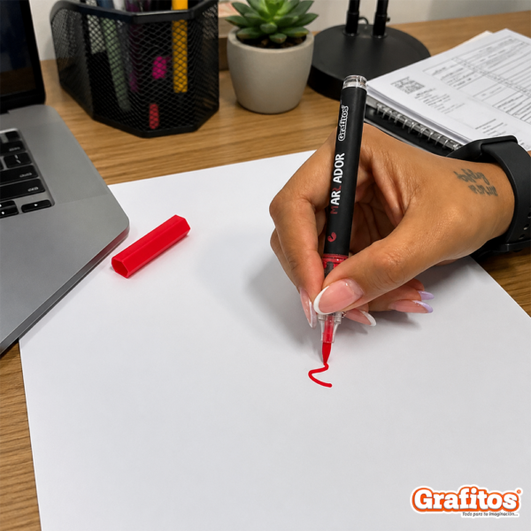 Marcadores Grafitos Acrílicos x12 Und